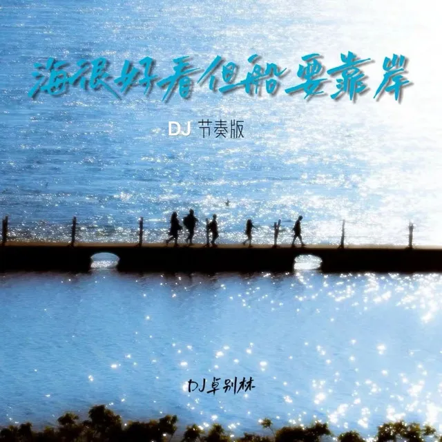 海很好看但船要靠岸 (Dj节奏版)