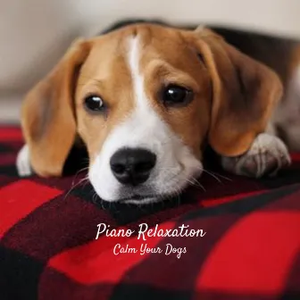 Piano Relaxation: Calm Your Dogs by Peaceful Pianos