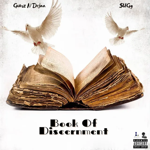 Book Of Discernment