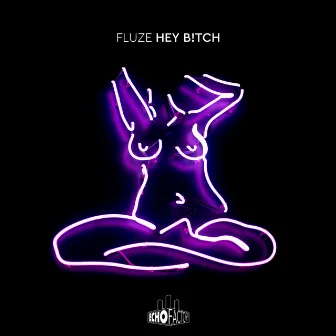 Hey B!tch by Fluze