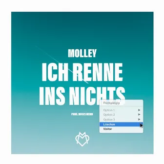 Ich renne ins Nichts by Molley