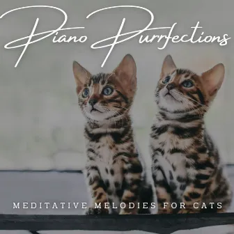 Piano Purrfections: Meditative Melodies for Cats by Unknown Artist