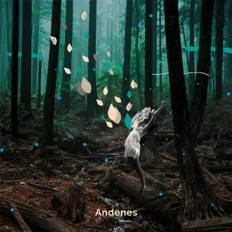 Andenes by Paulina Torres