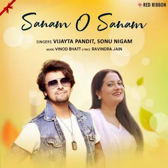 Sanam O Sanam by Vijayta Pandit