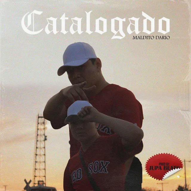 Catalogado