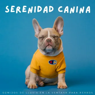 Serenidad Canina: Sonidos De Lluvia En La Ventana Para Perros by Lluvia relajarse