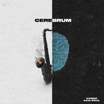 Cerebrum by Xvngo