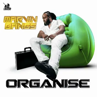 Organise by Marvin Bangs