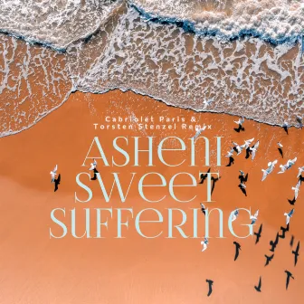 Sweet Suffering (Cabriolet Paris & Torsten Stenzel Remix) by Asheni