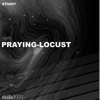 Praying-Locust by Skippo