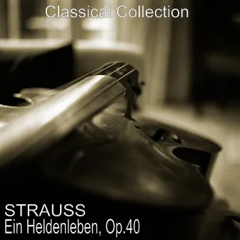 Strauss: Ein Heldenleben, Op.40 by Michel Schwalbé