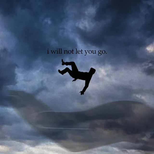 I WILL NOT LET YOU GO