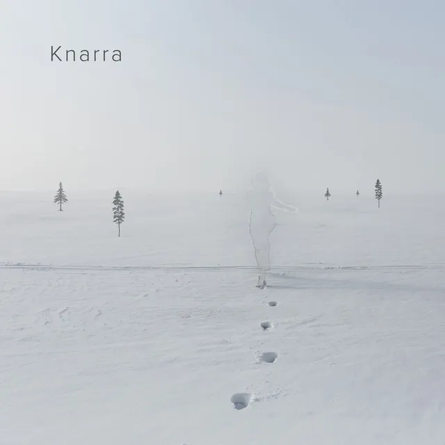 Knarra (feat. Chiiii)