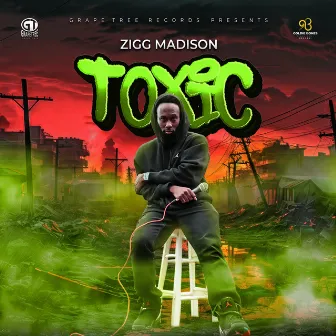 Toxic by Zigg Madison