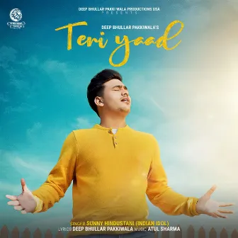 Teri Yaad by Sunny Hindustani