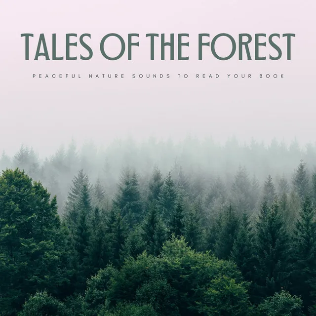 Tales Of The Forest: Peaceful Nature Sounds To Read Your Book