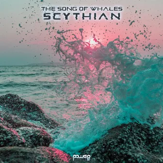 The Song Of Whales by Scythian