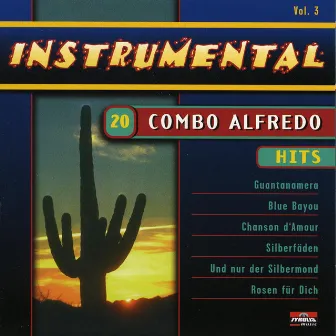 20 Hits - Instrumental - Vol. 3 by Combo Alfredo