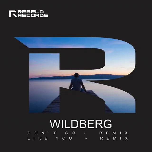 Dont Go - Wildberg Remix