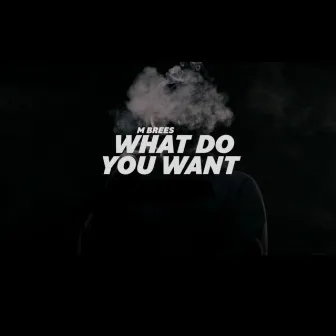 What Do You Want by M Brees