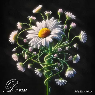 Dilema by Ayala