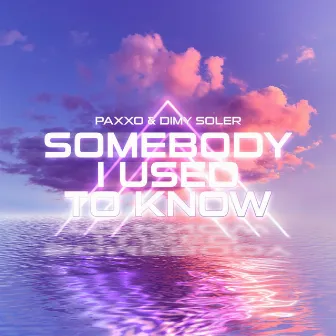 Somebody I Used To Know (Vip Mix) by Paxxo