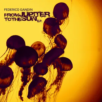 Jupiter To The Sun - EP by Federico Gandin