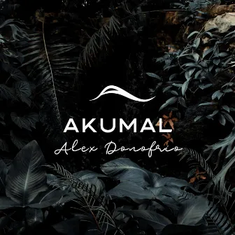 Akumal by Alex Donofrio