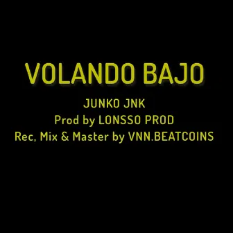 Volando Bajo by Junko