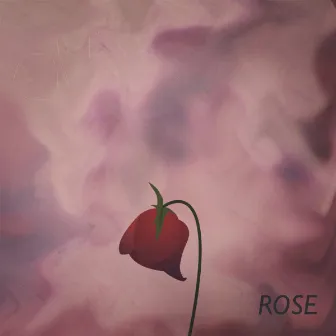 Rose by OREK