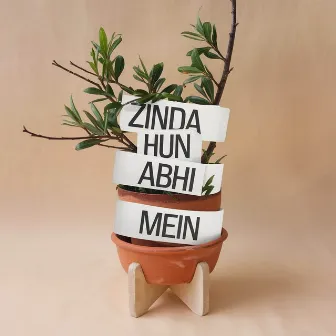 Zinda Hun Abhi Mein by Rubina Iqbal