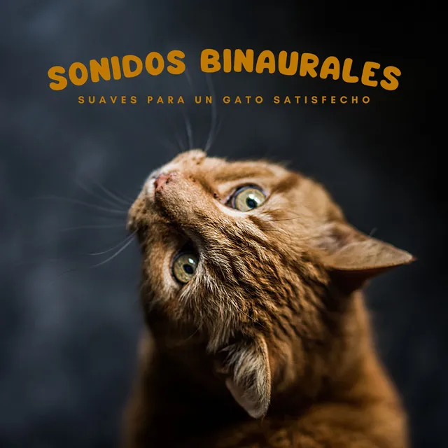 Sonidos Binaurales Suaves Para Un Gato Satisfecho