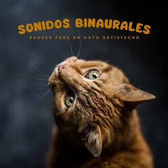 Sonidos Binaurales Suaves Para Un Gato Satisfecho by Relaja mi gatita