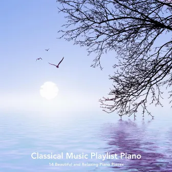 Classical Music Playlist Piano: 14 Beautiful and Relaxing Piano Pieces by Chris Snelling