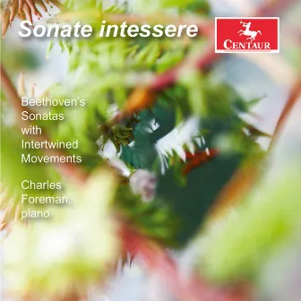 Beethoven: Sonate intessere by Unknown Artist