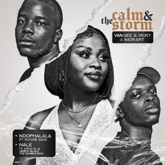 the calm & the storm by Imor.art