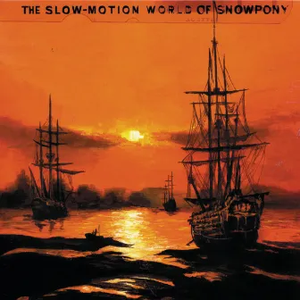 The Slow-Motion World Of Snowpony by Snowpony