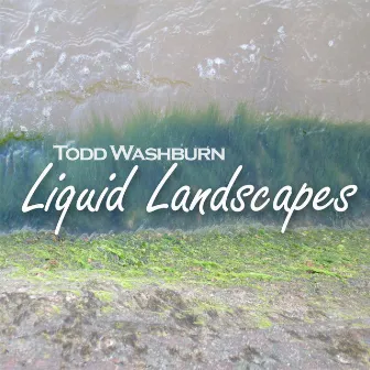 Liquid Landscapes by Todd Washburn