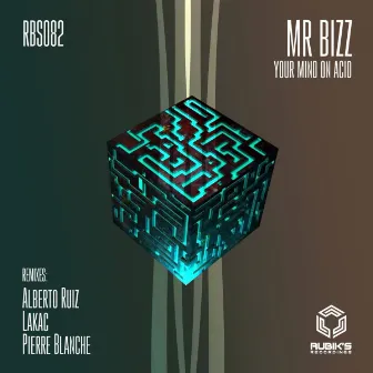 Your Mind On Acid Ep by Mr Bizz