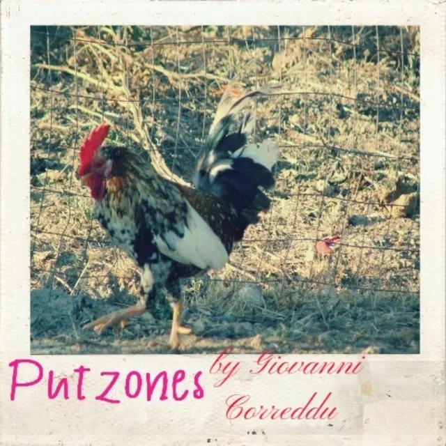 Putzones