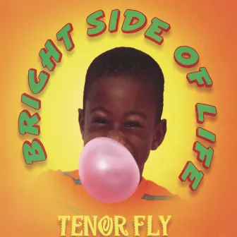 Bright Side Of Life by Tenor Fly