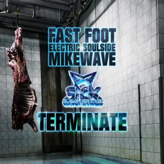 Terminate by MikeWave