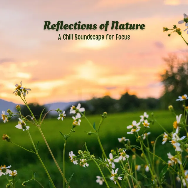 Reflections of Nature: A Chill Soundscape for Focus