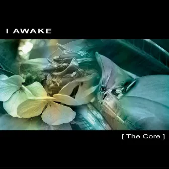 The Core by I Awake