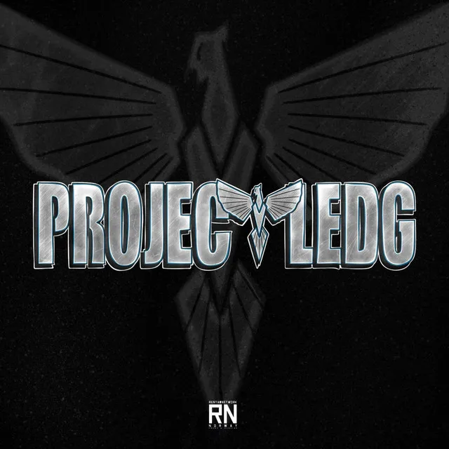 Project Ledg