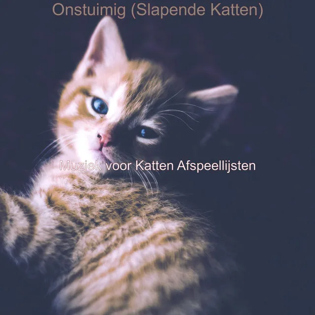 Onstuimig (Slapende Katten)