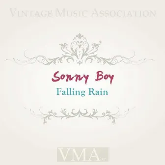 Falling Rain by Sonnyboy