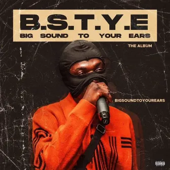 Big Sound To Your Ears (B.S.T.Y.E) The Album by Bigsoundtoyourears