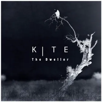 The Dweller by Kite