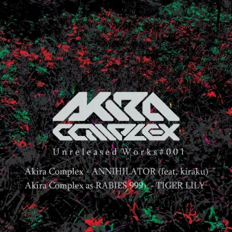 Unreleased Works #001 by Akira Complex